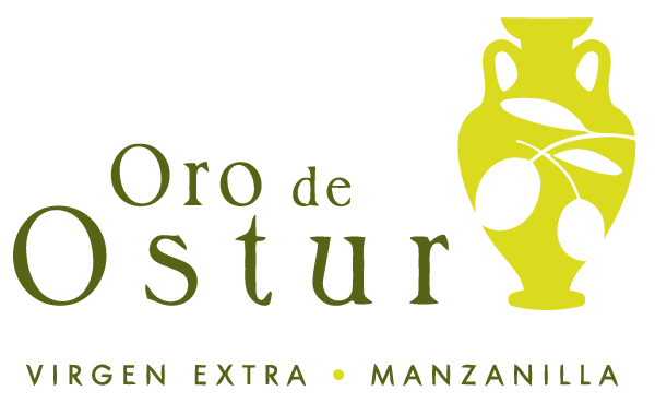 logo OSTUR