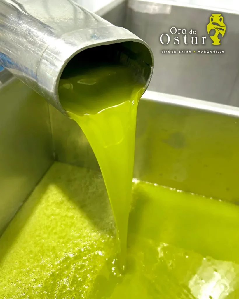 aceite de oliva sin filtrar