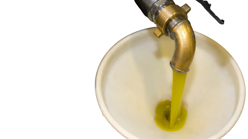 Aceite de oliva recién extraído cayendo del grifo de la almazara